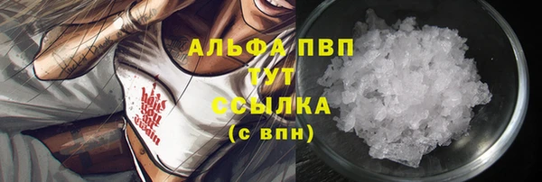 мдпв Осташков