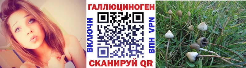 Галлюциногенные грибы Cubensis  hydra рабочий сайт  Тутаев 
