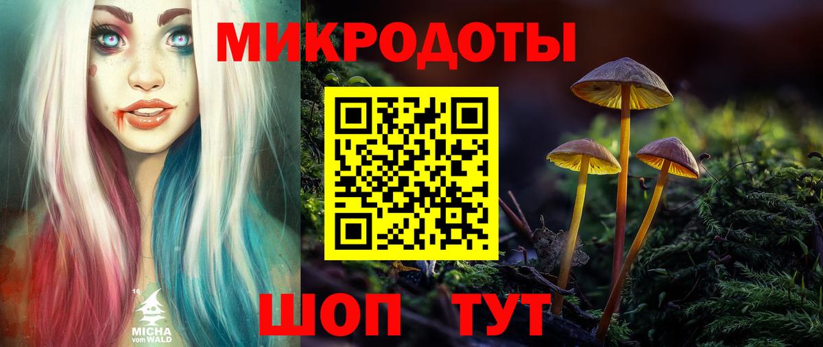 Галлюциногенные грибы Psilocybe  Вход с VPN  Тутаев 