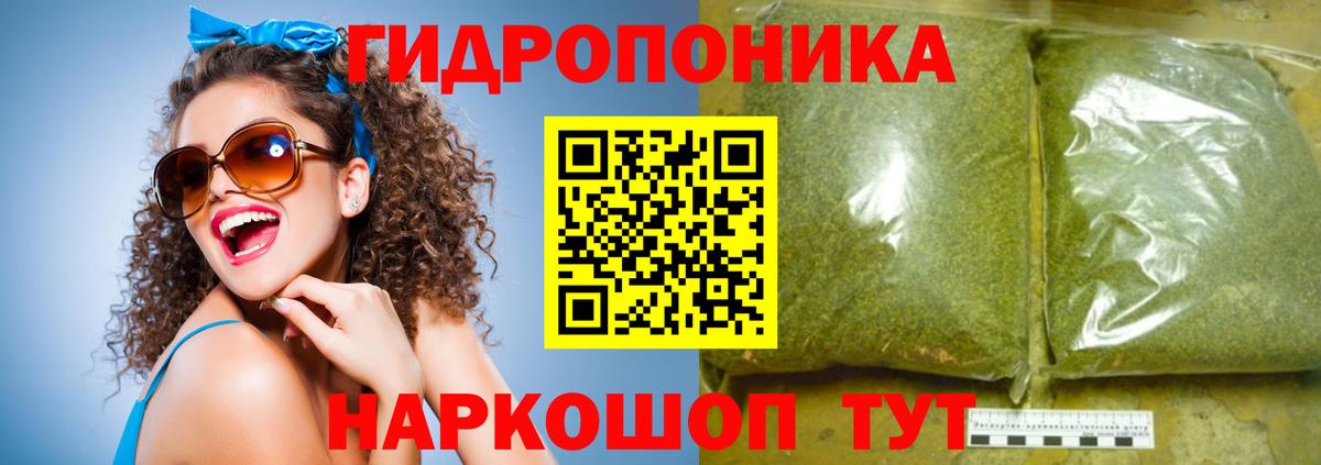 Конопля сатива Тутаев